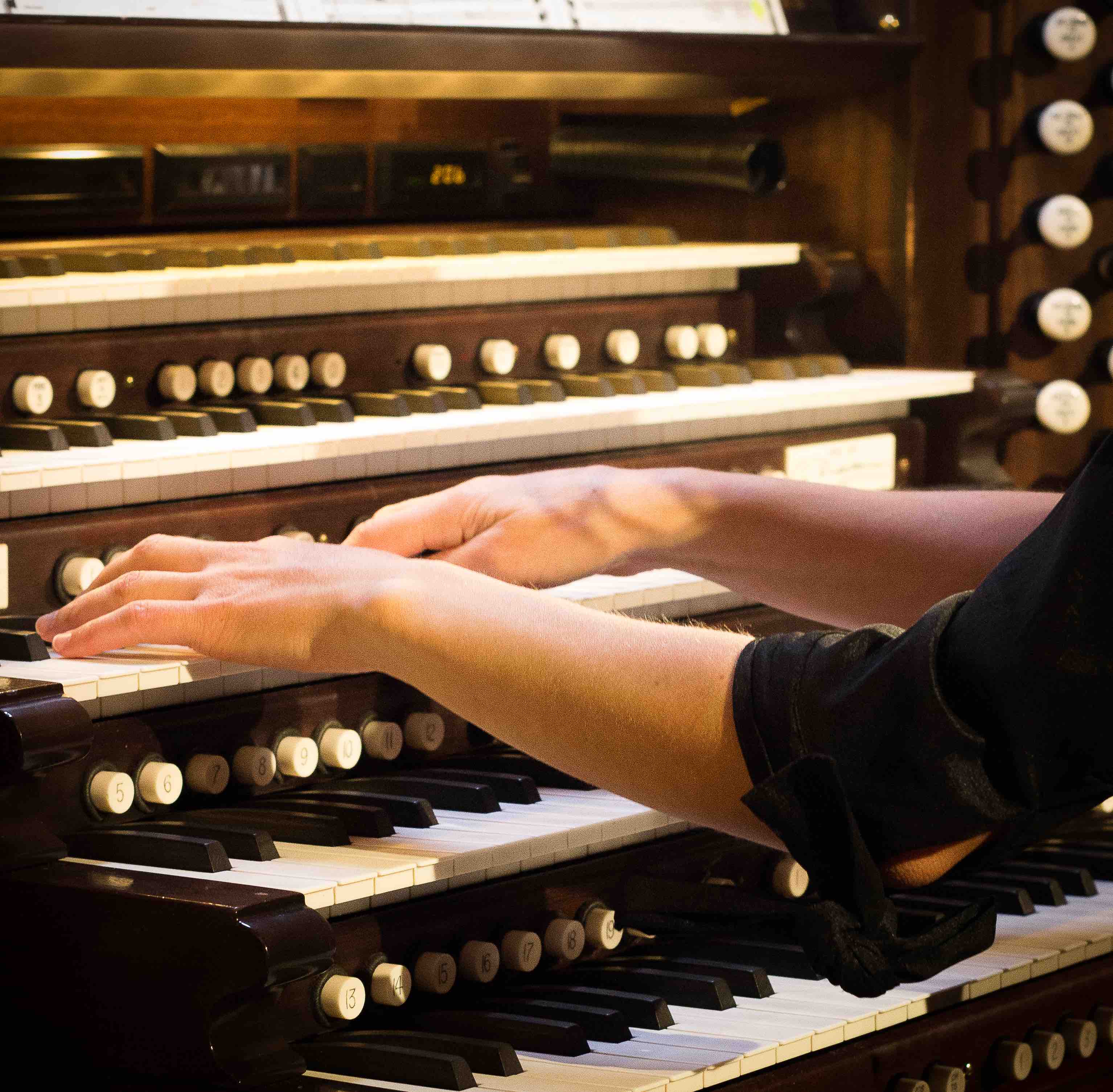 Organist Hands On Organ Keyboards