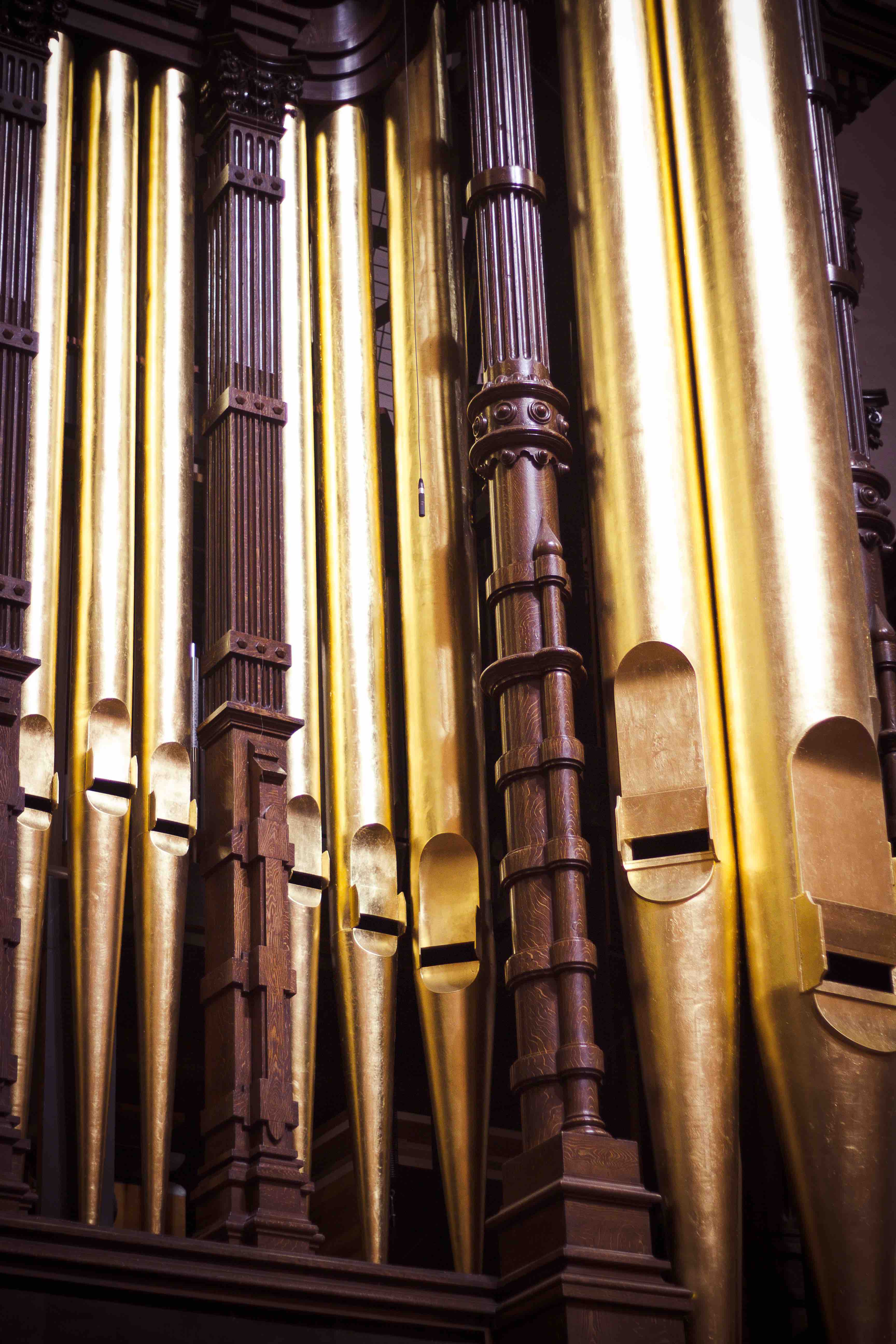 Organ Pipes